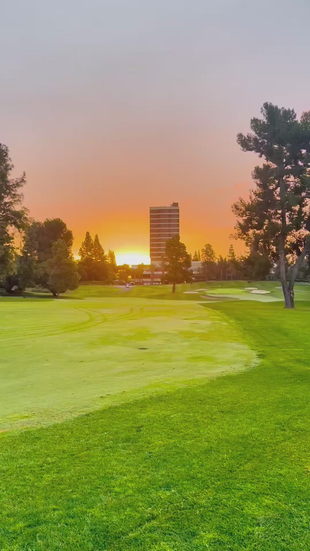 (New) Titleist Vokey Wedge SM10 Navy Refinished